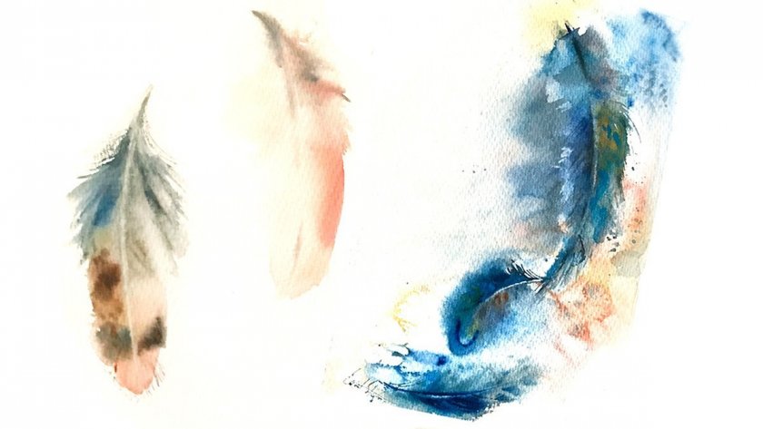 Яркие перья - Родионова (2017)_0.jpg